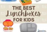 Top Lunch Boxes for Kids: Durable, Leakproof Picks for School