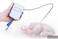 Calibrate Your Meat Thermometer with Ice Bath and Boiling Tests