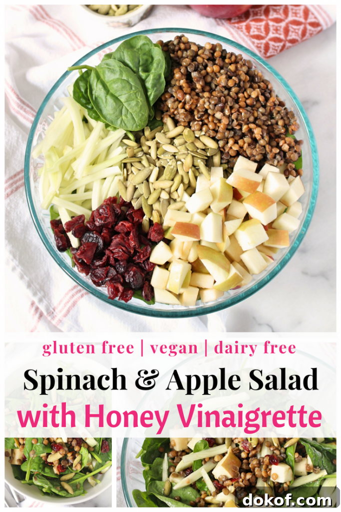 Fall Spinach and Apple Salad With Honey Vinaigrette