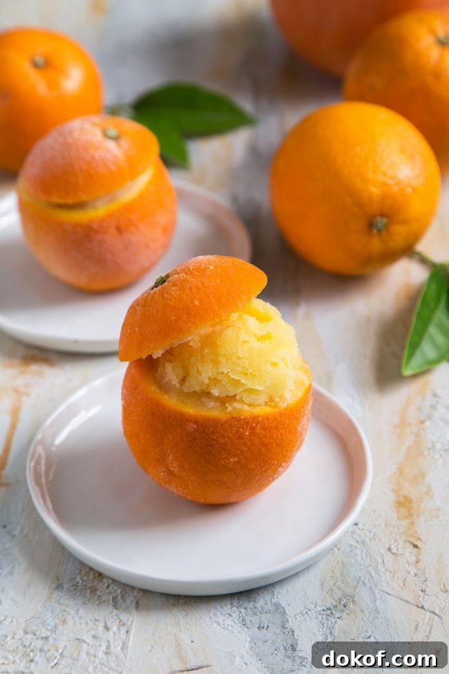Orange Sorbet