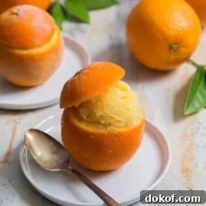 Orange Sorbet