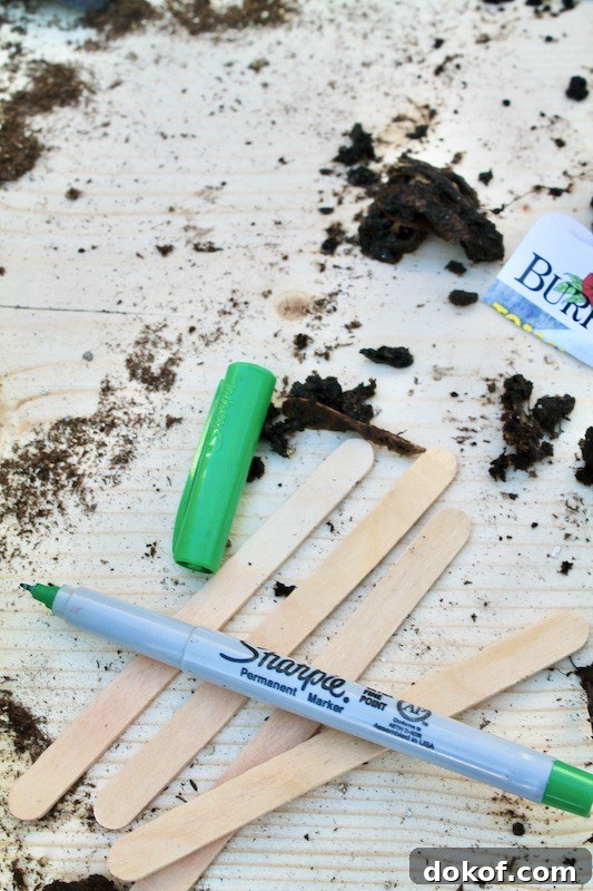 label your plants