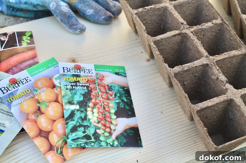 simplest way to start tomato seeds