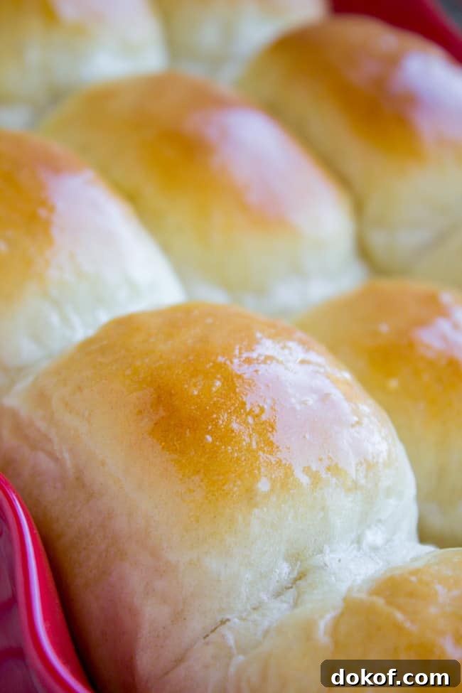 Aunt Shirley's Famous Dinner Rolls
