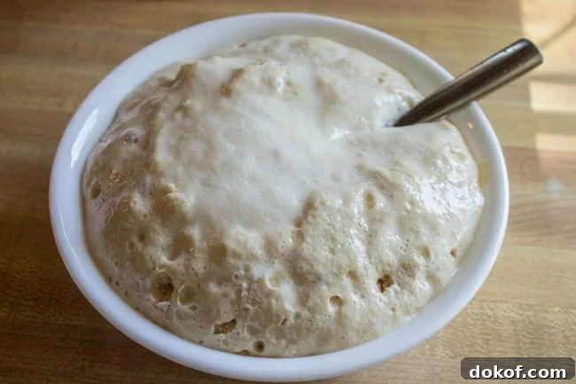 Yeast rising in a bowl.