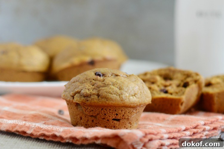 easy one bowl pumpkin spice muffin with chocolate chips on napkin