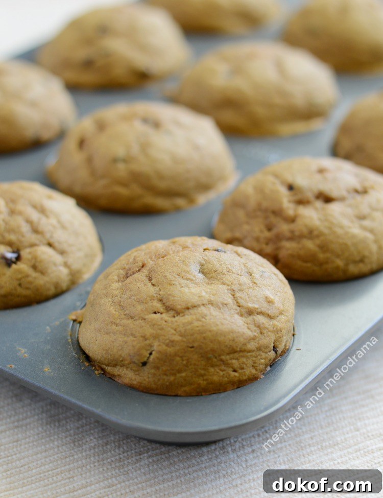 one bowl pumpkin spice muffins in muffin tin