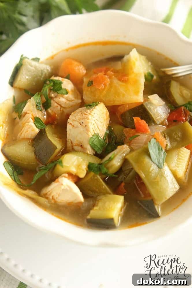 Skinny Chicken Vegetable Soup | Diary of a Recipe Collector