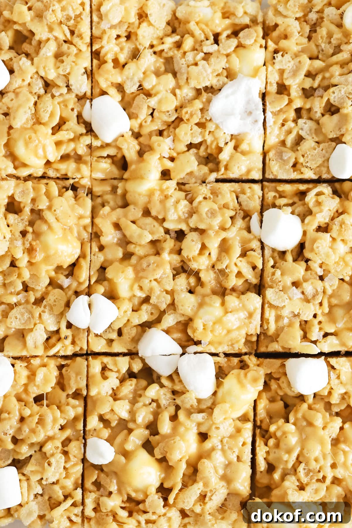 gluten-free peanut butter rice krispies treats cut into squares