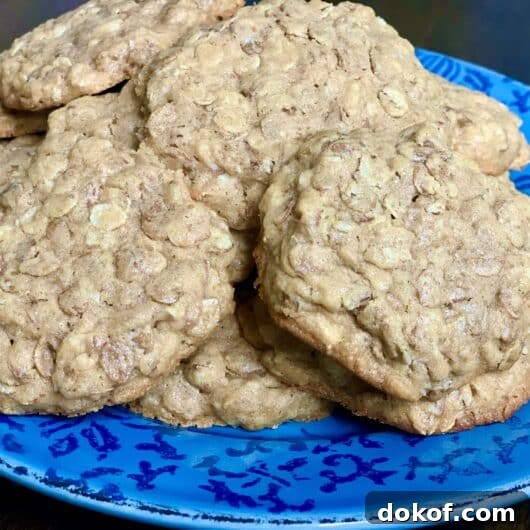 Chewy Peanut Butter Oatmeal Cookies Recipe for Perfect Snacks 2 The Best Peanut Butter Oatmeal Cookies