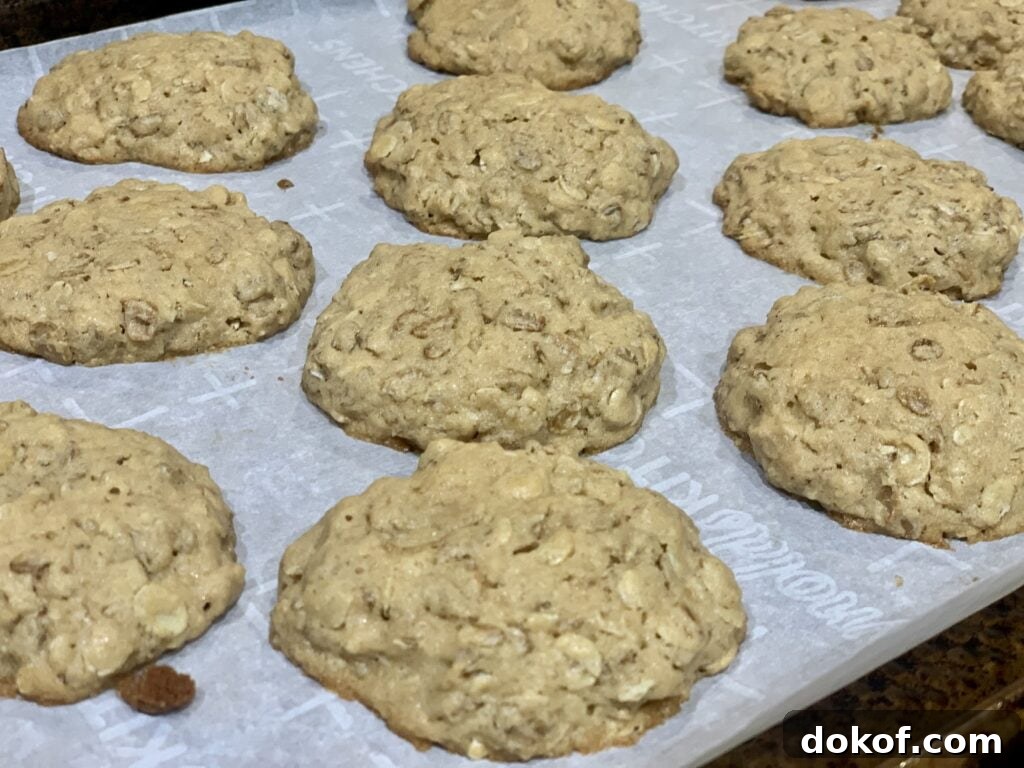 Chewy Peanut Butter Oatmeal Cookies Recipe for Perfect Snacks 8 img 12945 7