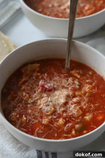 Bowl of turkey lentil soup.