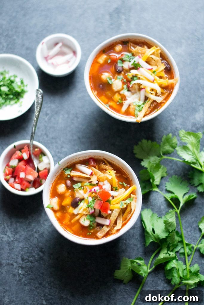 Hearty Vegetarian Tortilla Soup Recipe with Avocado and Lime 2 Vegetarian Tortilla Soup | Sarcastic Cooking