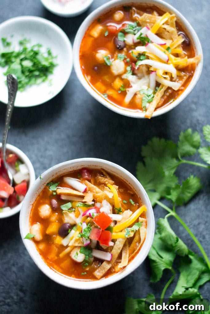 Hearty Vegetarian Tortilla Soup Recipe with Avocado and Lime 5 Slow Cooker Vegetarian Tortilla Soup | Sarcastic Cooking