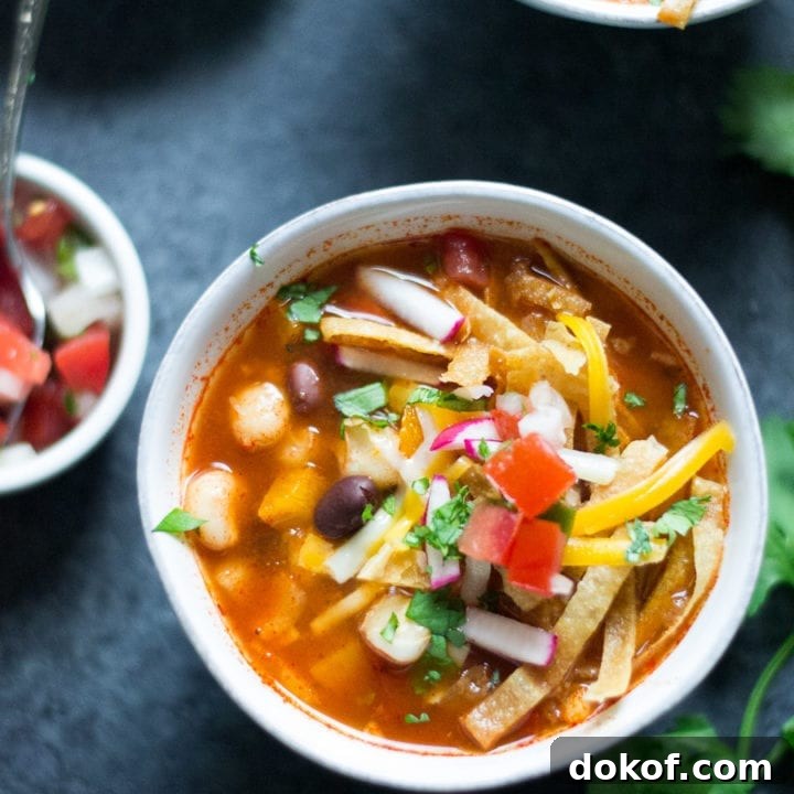 Slow Cooker Vegetarian Tortilla Soup | Sarcastic Cooking