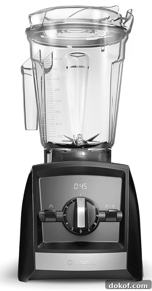 Vitamix Blender