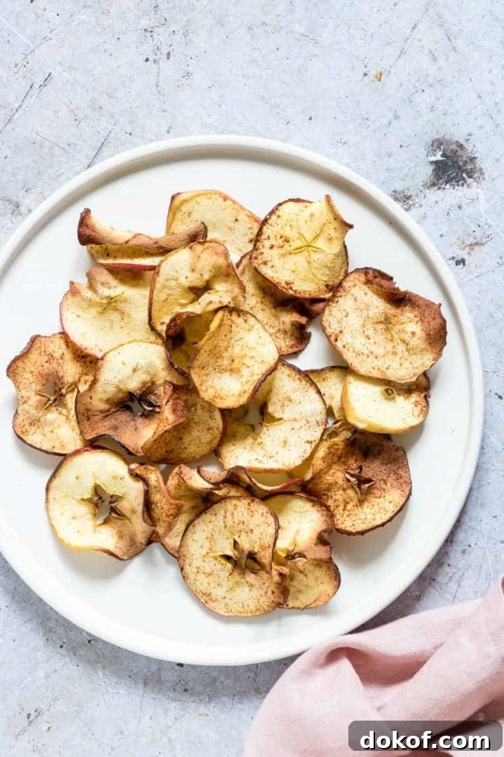 Air Fryer Apple Chips served on a white plate next to a pink cloth napkin