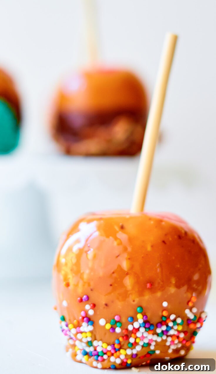 An apple with caramel and sprinkles with a stick in it.