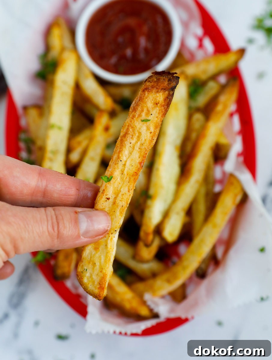 A hand holding up a crispy air fryer french fry.