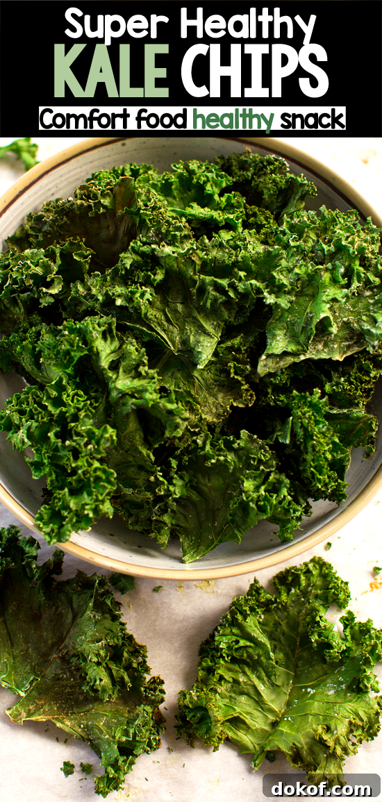 Homemade Kale Chips - No Dehydrator, No Air Fryer Homemade Kale Chips - No Dehydrator, No Air Fryer