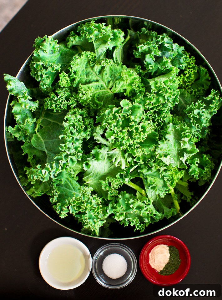 Crunchy Kale Chip Ingredients Crunchy Kale Chip Ingredients
