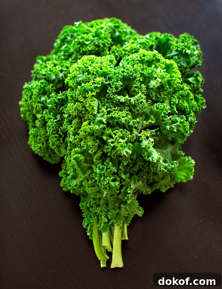 Raw Kale Bunch Green Dino Raw Kale Bunch Green Dino