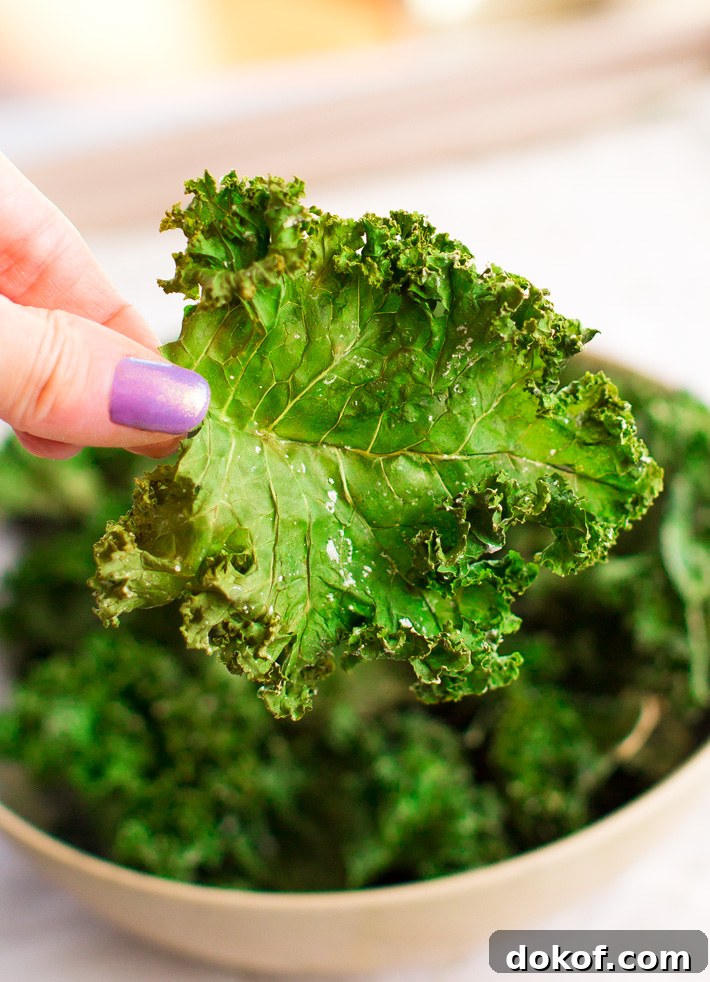 Vegan Healthy Snack Kale Chips Vegan Healthy Snack Kale Chips