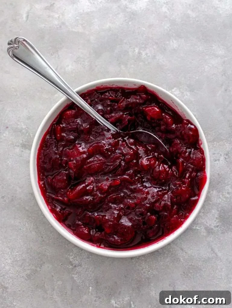 cranberry sauce in bowl with spoon overhead image