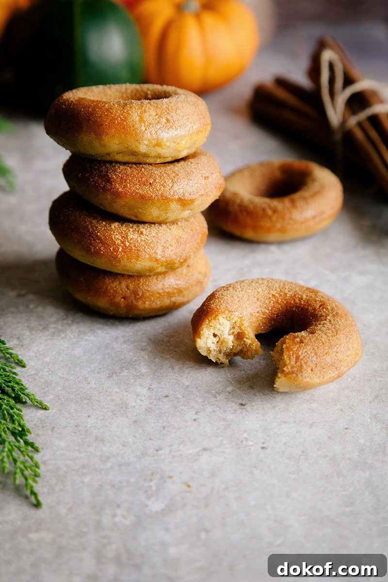 Baked Vegan Pumpkin Donuts with Cinnamon Sugar Glaze 2 Vegan Baked Pumpkin Donuts with Cinnamon Sugar