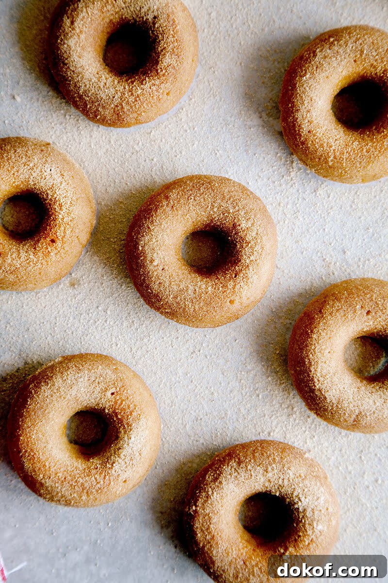 Baked Vegan Pumpkin Donuts with Cinnamon Sugar Glaze 3 Vegan Baked Pumpkin Donuts with Cinnamon Sugar