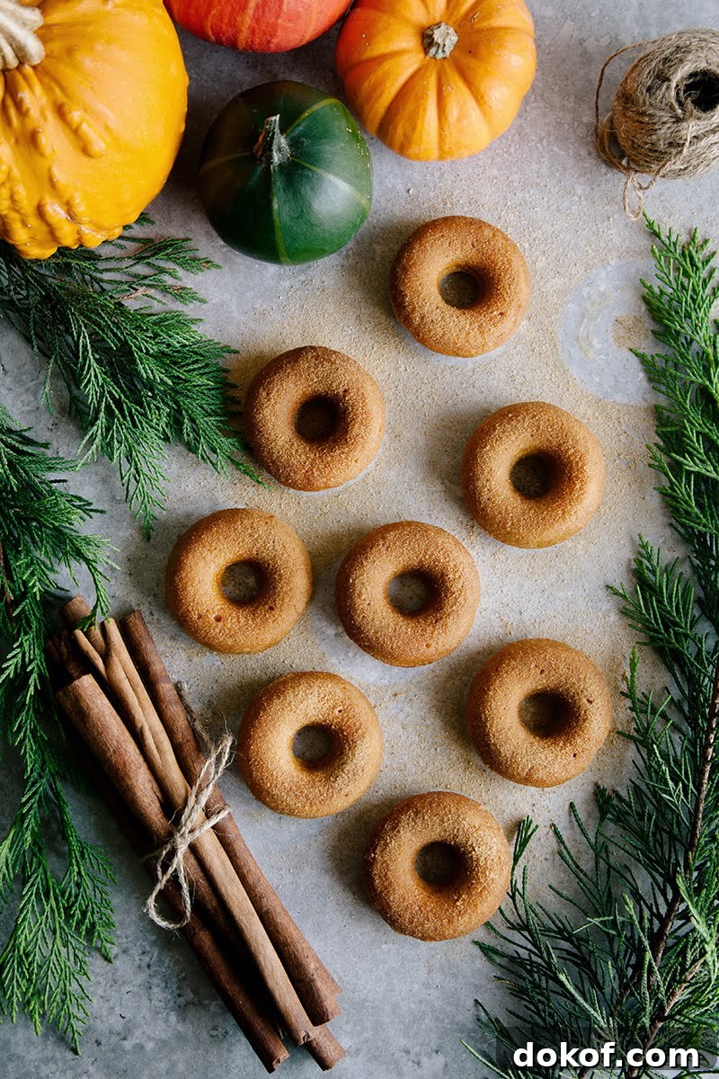 Baked Vegan Pumpkin Donuts with Cinnamon Sugar Glaze 4 Mini Pumpkin & Cinnamon Sugar Donuts