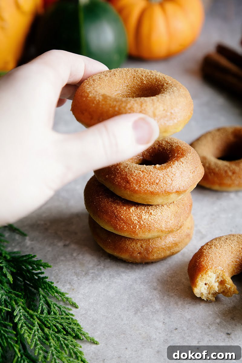 Baked Vegan Pumpkin Donuts with Cinnamon Sugar Glaze 5 Mini Pumpkin & Cinnamon Sugar Donuts