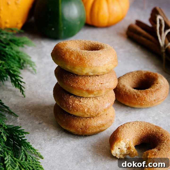 Mini Pumpkin & Cinnamon Sugar Donuts