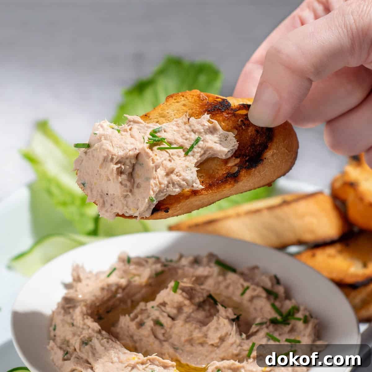 A bowl of tuna pate surrounded by toasted baguette, cucumber ribbons and lettuce.