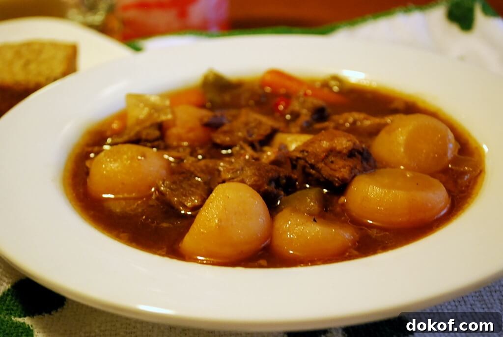 Stout Irish Stew, close bowl