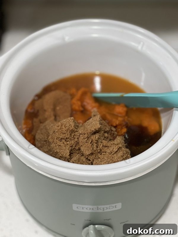 The ingredients for the pumpkin butter in a crockpot
