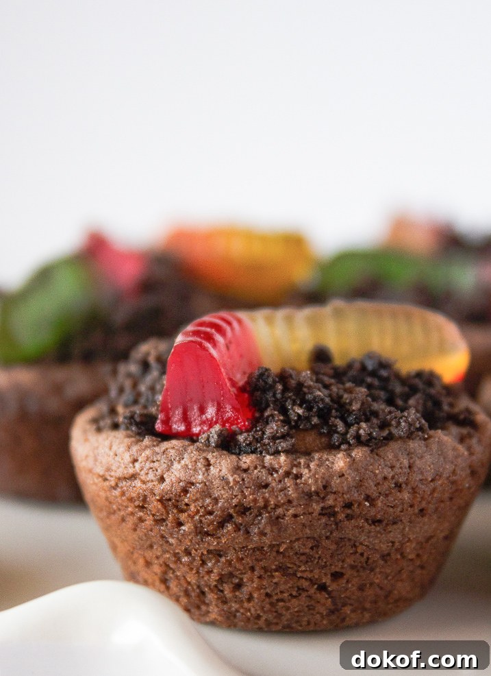 Chocolate Cake Mix Cookies: 12 Irresistible Recipes You’ll Love 15 Dirt cake cookies bites on a white cake plate.
