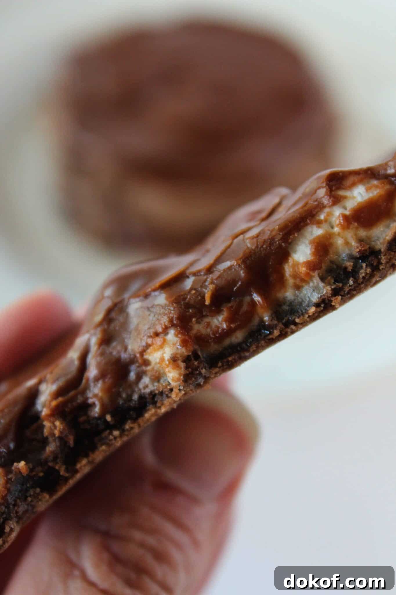 Chocolate Cake Mix Cookies: 12 Irresistible Recipes You’ll Love 23 A hand holding a Mississippi mud cookie.