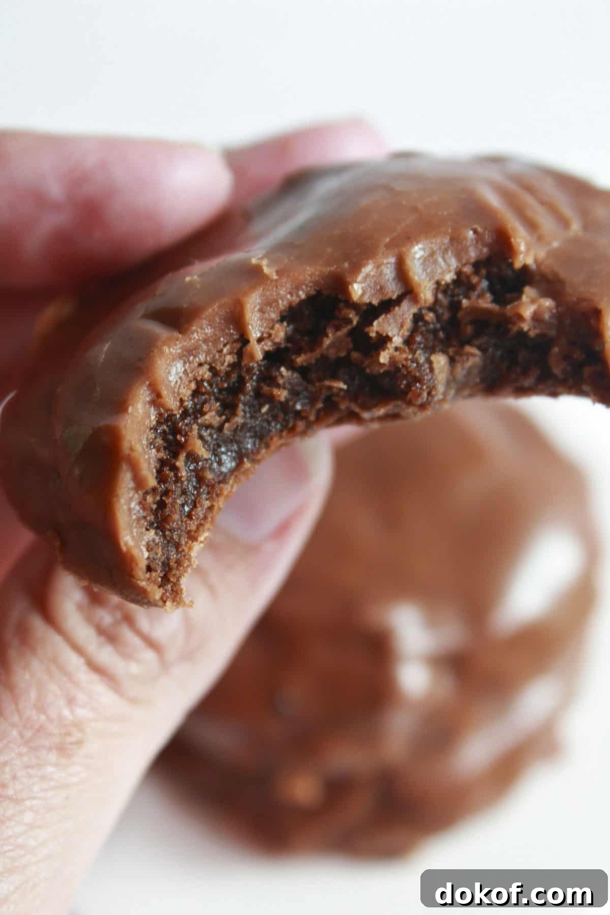 Chocolate Cake Mix Cookies: 12 Irresistible Recipes You’ll Love 5 Texas sheet cake cookie with a bite taken from it.