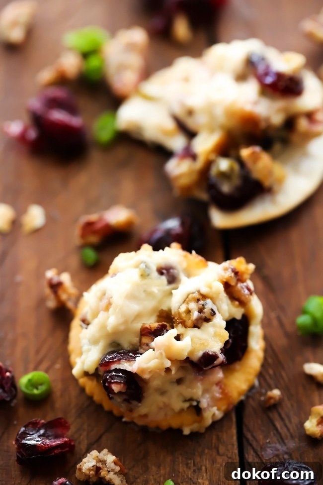 Brown Sugar Craisins Dip Recipe for Parties and Holidays 3 Hot Brown Sugar Craisin Dip