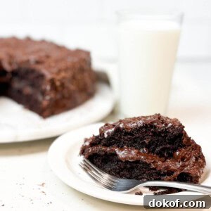 A slice of Matilda's chocolate cake.