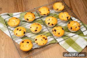 12 Queen cakes on a wire rack