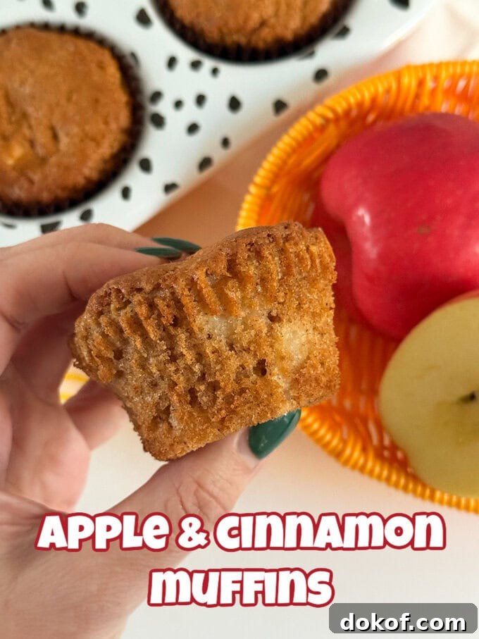 Apple and cinnamon muffins