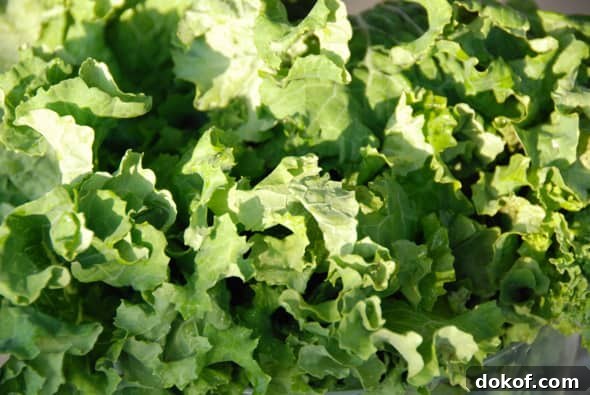 Kale