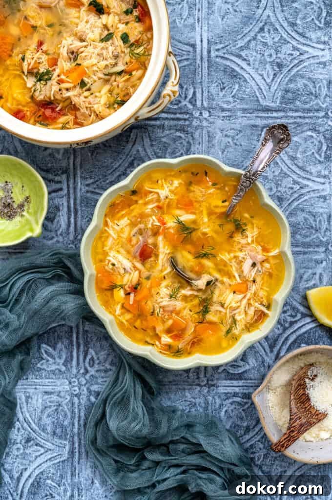 Bowl of crockpot chicken soup