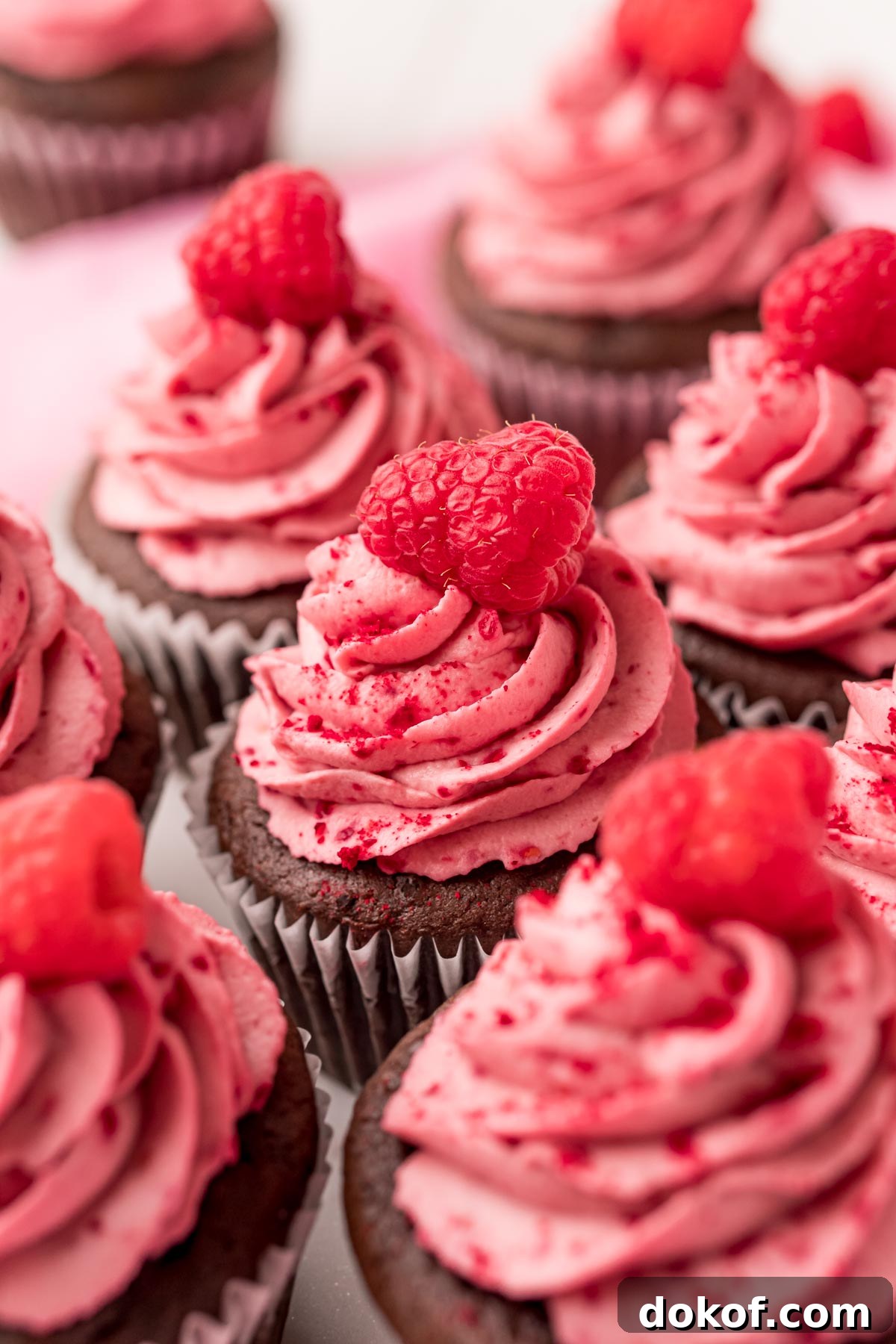 Decadent Chocolate Raspberry Cupcakes with Raspberry Filling 3 Close up photo of a chocolate cupcakes topped with raspberry frosting.