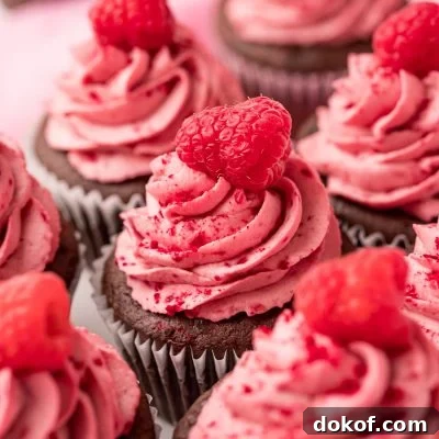 Decadent Chocolate Raspberry Cupcakes with Raspberry Filling 7 Close up photo of a chocolate cupcakes topped with raspberry frosting.