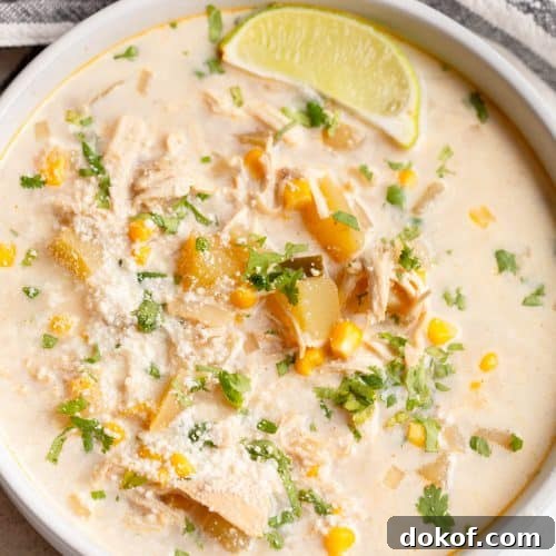 Slow Cooker Mexican Street Corn Soup