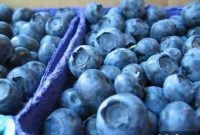 Gluten-Free Blueberry Scones Packed with Antioxidants