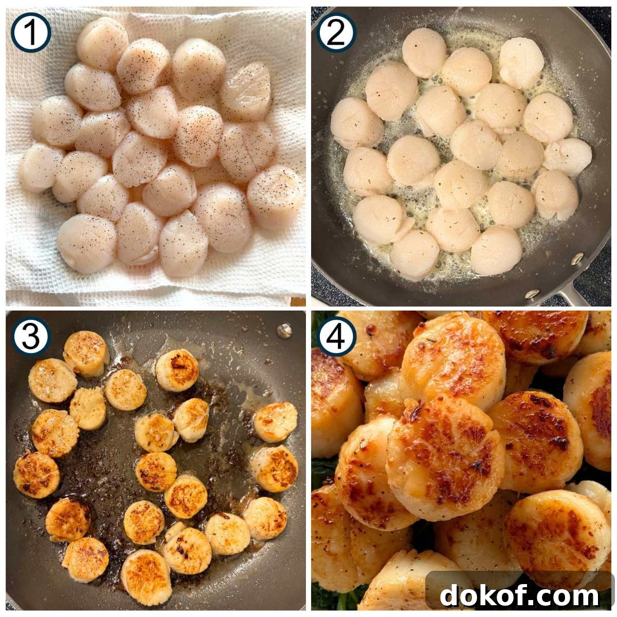 Numbered collage of steps to sear scallops: 1) uncooked scallops on paper towels, 2) scallops in pan with butter, 3) scallops browned on one side in skillet, 4) close-up of cooked scallops.